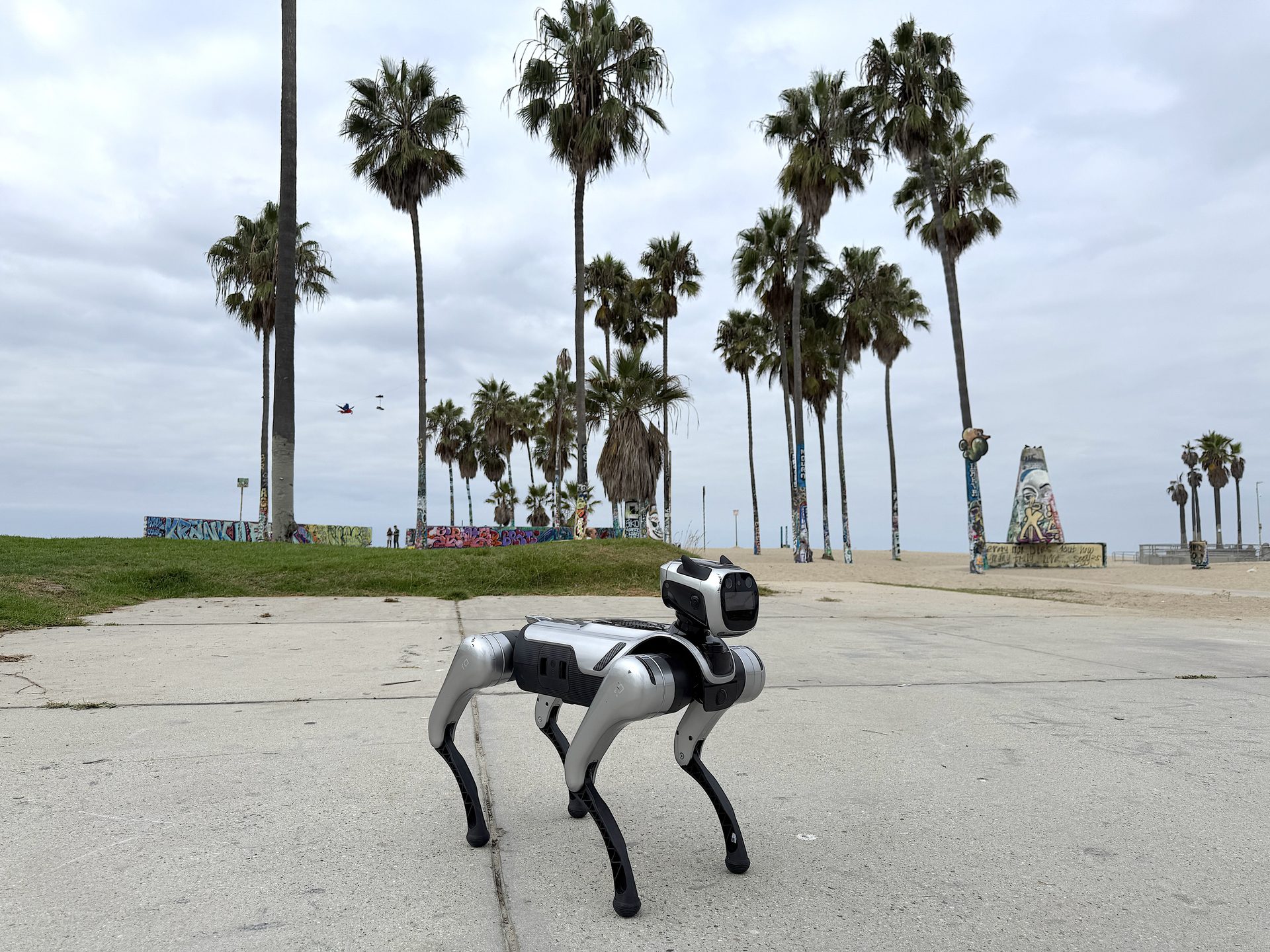 Alex Dog Pro