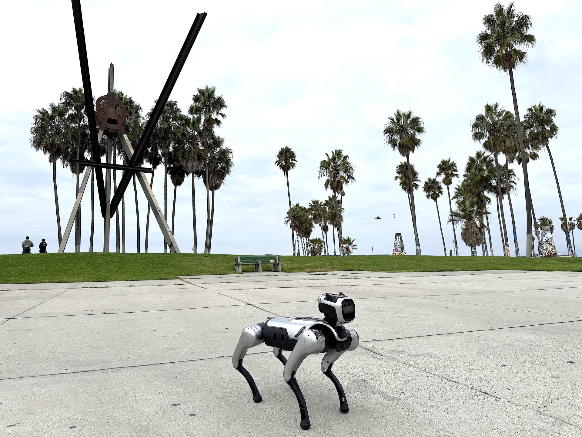 Alex Dog Pro