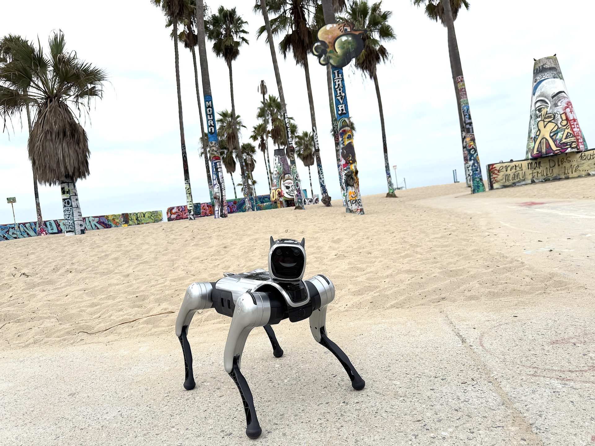 Alex Dog Pro