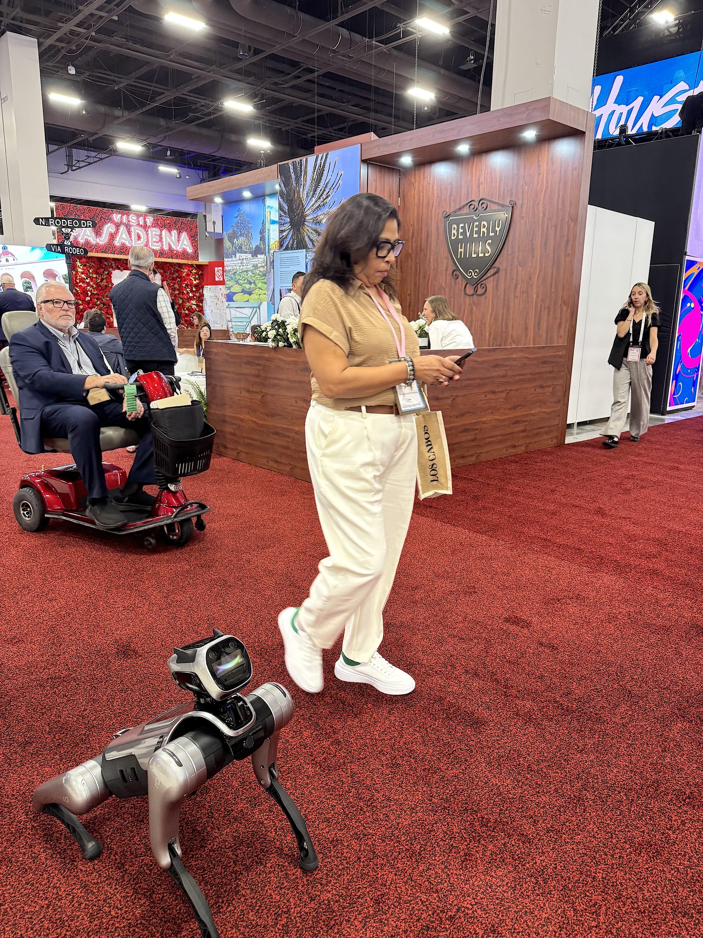 Alex Dog Pro at IMEX — Morocco arch